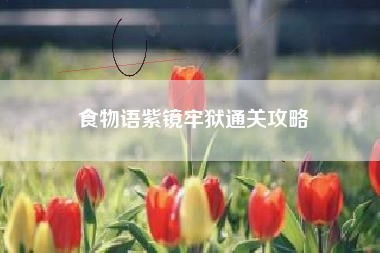 食物语紫镜牢狱通关攻略