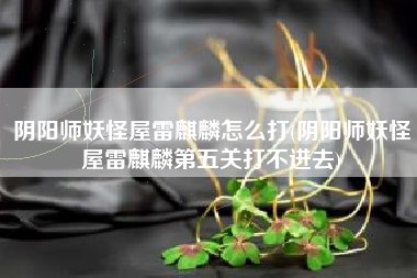 阴阳师妖怪屋雷麒麟怎么打(阴阳师妖怪屋雷麒麟第五关打不进去)
