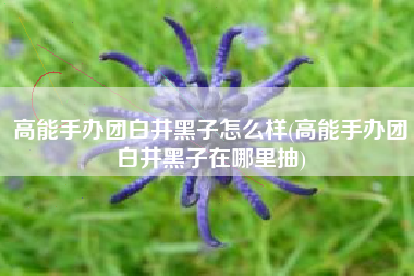高能手办团白井黑子怎么样(高能手办团白井黑子在哪里抽)