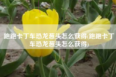 跑跑卡丁车恐龙葱头怎么获得(跑跑卡丁车恐龙葱头怎么获得)