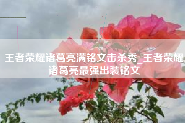 王者荣耀诸葛亮满铭文击杀秀_王者荣耀诸葛亮最强出装铭文