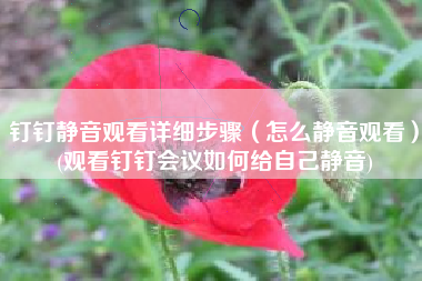 钉钉静音观看详细步骤（怎么静音观看）(观看钉钉会议如何给自己静音)