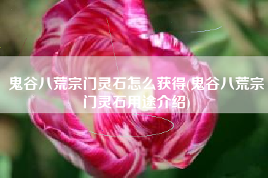 鬼谷八荒宗门灵石怎么获得(鬼谷八荒宗门灵石用途介绍)