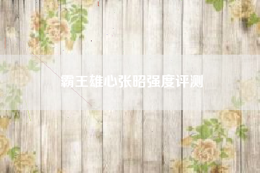霸王雄心张昭强度评测