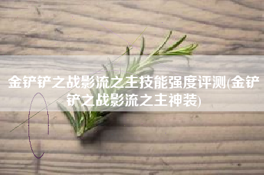 金铲铲之战影流之主技能强度评测(金铲铲之战影流之主神装)
