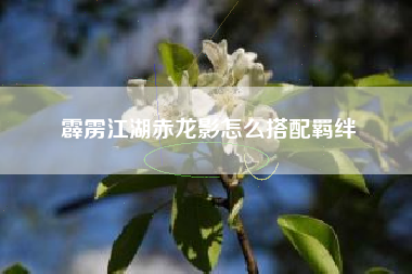 霹雳江湖赤龙影怎么搭配羁绊