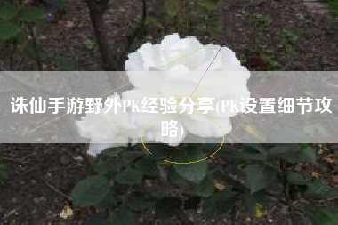 诛仙手游野外PK经验分享(PK设置细节攻略)