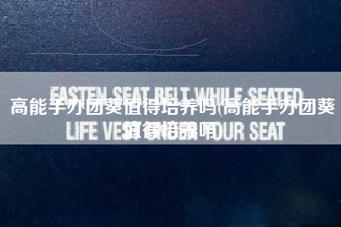 高能手办团葵值得培养吗(高能手办团葵值得培养吗)