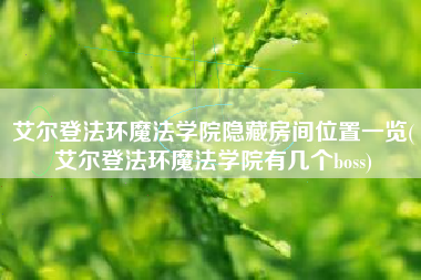 艾尔登法环魔法学院隐藏房间位置一览(艾尔登法环魔法学院有几个boss)