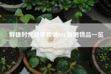 群雄时代战姬倾城DLC新增物品一览