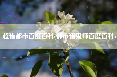 超猎都市百度百科(都市猎鬼师百度百科)