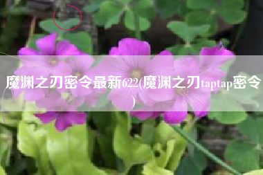 魔渊之刃密令最新622(魔渊之刃taptap密令)