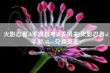 火影忍者ol手游忍考35关风主(火影忍者ol手游cdkey兑换页面)