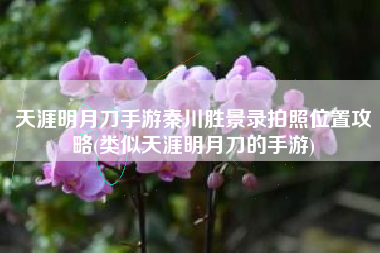 天涯明月刀手游秦川胜景录拍照位置攻略(类似天涯明月刀的手游)