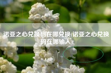 诺亚之心兑换码在哪兑换(诺亚之心兑换码在哪输入)