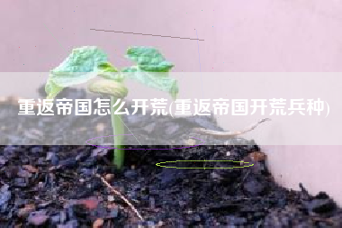 重返帝国怎么开荒(重返帝国开荒兵种)