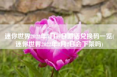 迷你世界2022年5月19日激活兑换码一览(迷你世界2022年8月2日会下架吗)