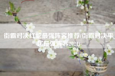 街霸对决红蛇最强阵容推荐(街霸对决平民最强阵容2021)