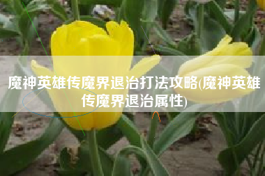 魔神英雄传魔界退治打法攻略(魔神英雄传魔界退治属性)