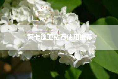 阿卡迪亚钻石使用推荐