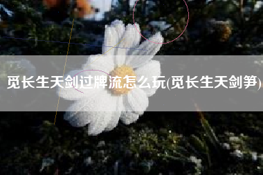 觅长生天剑过牌流怎么玩(觅长生天剑笋)
