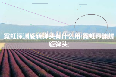 霓虹深渊旋转弹头有什么用(霓虹深渊螺旋弹头)