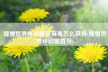 魔兽世界怀旧服亚麻布怎么获得(魔兽世界怀旧服直升)