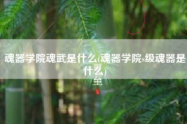 魂器学院魂武是什么(魂器学院s级魂器是什么)