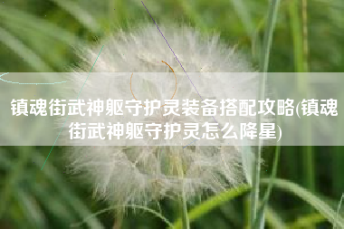镇魂街武神躯守护灵装备搭配攻略(镇魂街武神躯守护灵怎么降星)