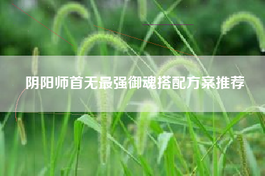阴阳师首无最强御魂搭配方案推荐