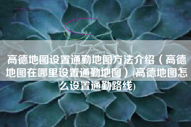 高德地图设置通勤地图方法介绍（高德地图在哪里设置通勤地图）(高德地图怎么设置通勤路线)