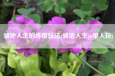 领地人生的练级玩法(领地人生yo单人玩)