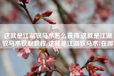 这就是江湖驭马术怎么获得,这就是江湖驭马术获取教程(这就是江湖驭马术7在哪)