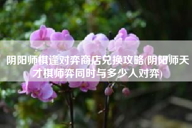 阴阳师棋逢对弈商店兑换攻略(阴阳师天才棋师弈同时与多少人对弈)
