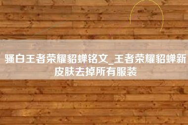 骚白王者荣耀貂蝉铭文_王者荣耀貂蝉新皮肤去掉所有服装