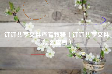 钉钉共享文件查看教程（钉钉共享文件怎么查看）