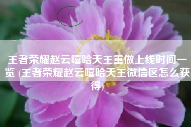 王者荣耀赵云嘻哈天王重做上线时间一览 (王者荣耀赵云嘻哈天王微信区怎么获得)
