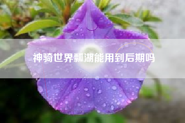 神骑世界瓢湖能用到后期吗