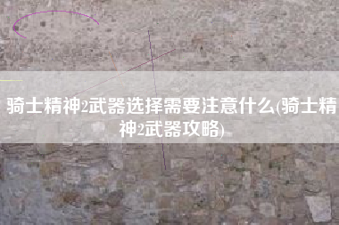 骑士精神2武器选择需要注意什么(骑士精神2武器攻略)