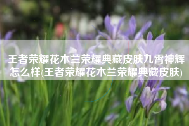 王者荣耀花木兰荣耀典藏皮肤九霄神辉怎么样(王者荣耀花木兰荣耀典藏皮肤)