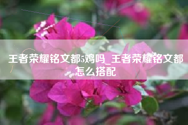 王者荣耀铭文都5鸡吗_王者荣耀铭文都怎么搭配