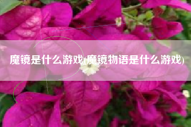 魔镜是什么游戏(魔镜物语是什么游戏)
