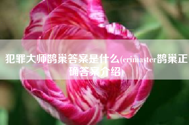 犯罪大师鹊巢答案是什么(crimaster鹊巢正确答案介绍)