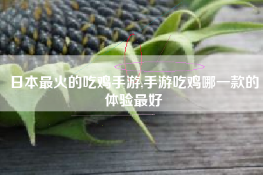 日本最火的吃鸡手游,手游吃鸡哪一款的体验最好