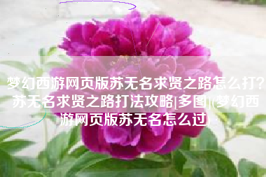 梦幻西游网页版苏无名求贤之路怎么打？苏无名求贤之路打法攻略[多图](梦幻西游网页版苏无名怎么过)