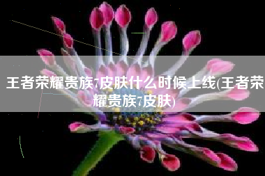 王者荣耀贵族7皮肤什么时候上线(王者荣耀贵族7皮肤)