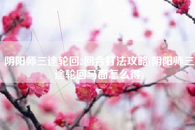 阴阳师三途轮回2回合打法攻略(阴阳师三途轮回马面怎么得)
