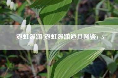 霓虹深渊(霓虹深渊道具图鉴)_5