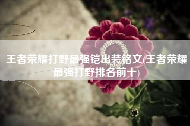 王者荣耀打野最强铠出装铭文(王者荣耀最强打野排名前十)