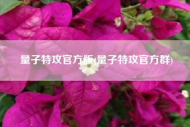 量子特攻官方版(量子特攻官方群)